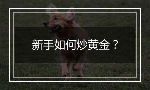 新手如何炒黄金？