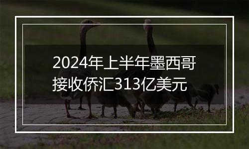 2024年上半年墨西哥接收侨汇313亿美元