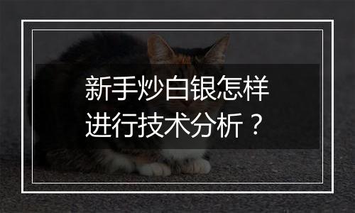 新手炒白银怎样进行技术分析？