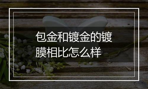 包金和镀金的镀膜相比怎么样