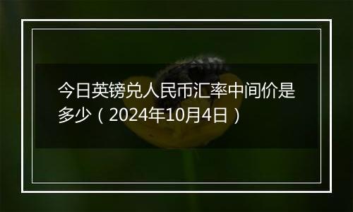 今日英镑兑人民币汇率中间价是多少（2024年10月4日）