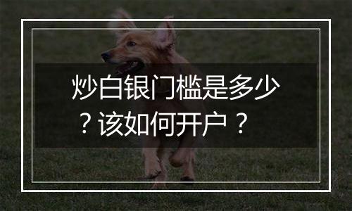 炒白银门槛是多少？该如何开户？