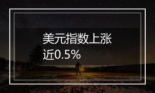 美元指数上涨近0.5%