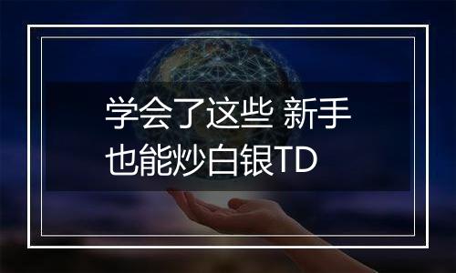 学会了这些 新手也能炒白银TD