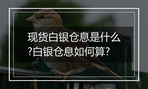 现货白银仓息是什么?白银仓息如何算?