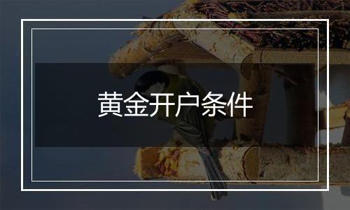 黄金开户条件