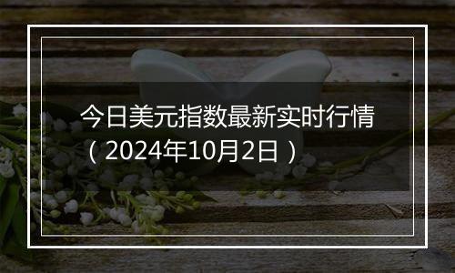 今日美元指数最新实时行情（2024年10月2日）