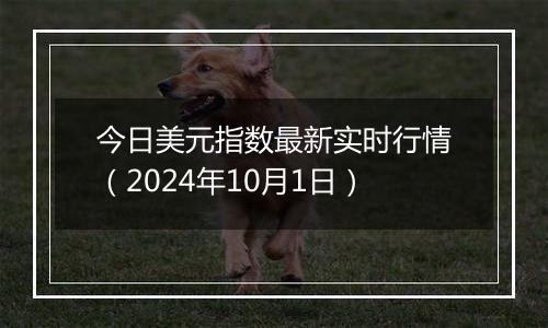 今日美元指数最新实时行情（2024年10月1日）