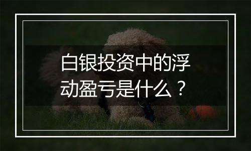 白银投资中的浮动盈亏是什么？