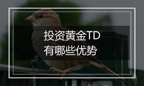 投资黄金TD有哪些优势