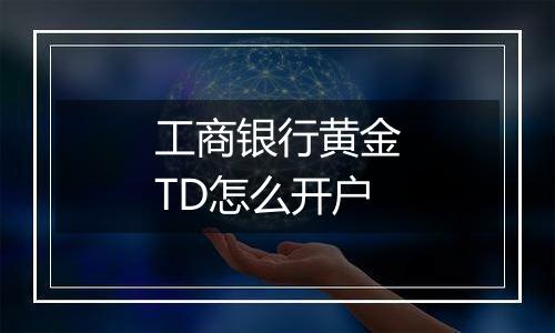 工商银行黄金TD怎么开户