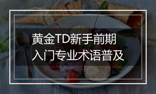 黄金TD新手前期入门专业术语普及