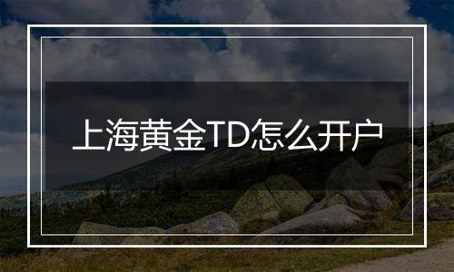 上海黄金TD怎么开户