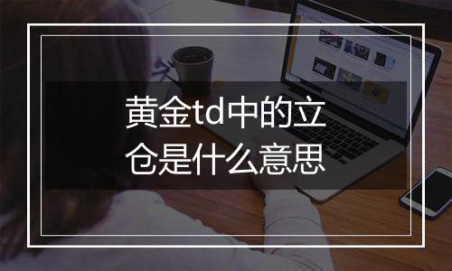 黄金td中的立仓是什么意思