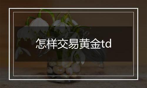 怎样交易黄金td