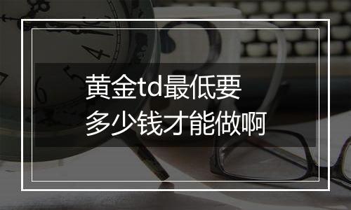 黄金td最低要多少钱才能做啊