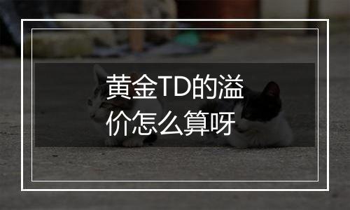 黄金TD的溢价怎么算呀