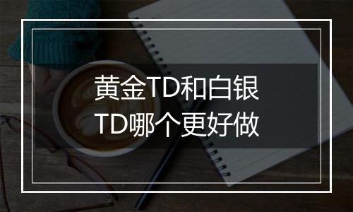 黄金TD和白银TD哪个更好做