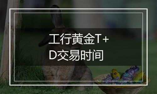 工行黄金T+D交易时间