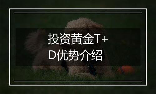 投资黄金T+D优势介绍