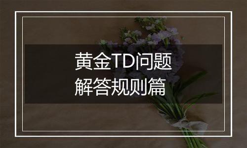 黄金TD问题解答规则篇