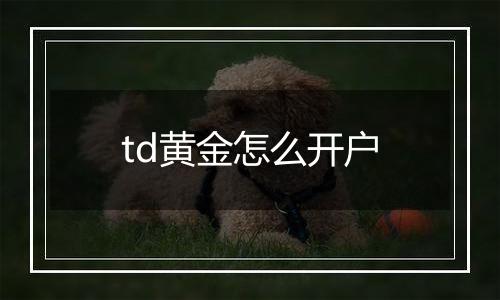 td黄金怎么开户