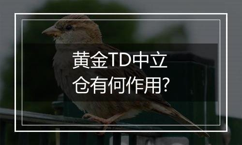 黄金TD中立仓有何作用?