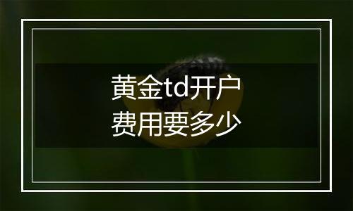 黄金td开户费用要多少