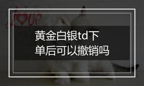 黄金白银td下单后可以撤销吗