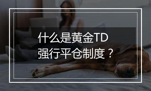 什么是黄金TD强行平仓制度？