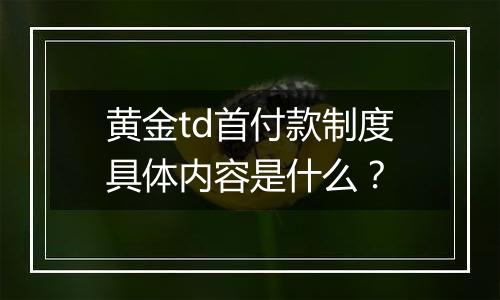 黄金td首付款制度具体内容是什么？