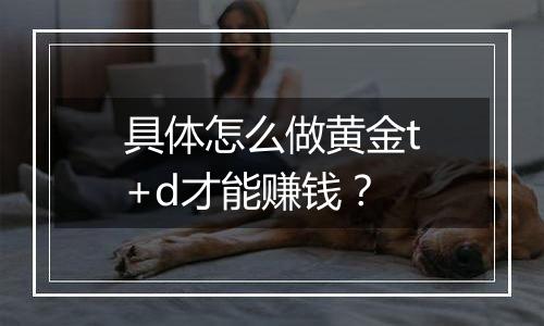 具体怎么做黄金t+d才能赚钱？