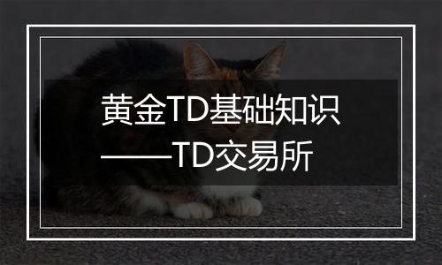 黄金TD基础知识——TD交易所