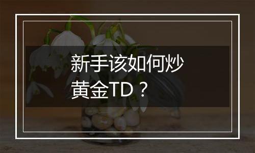 新手该如何炒黄金TD？