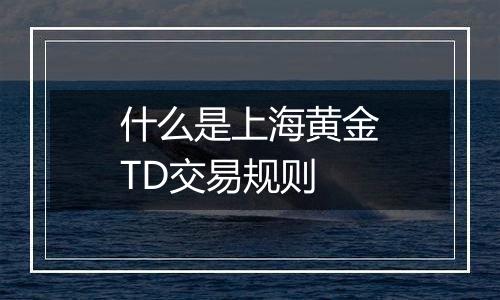 什么是上海黄金TD交易规则