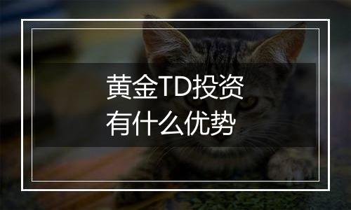 黄金TD投资有什么优势