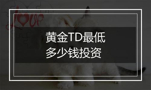 黄金TD最低多少钱投资