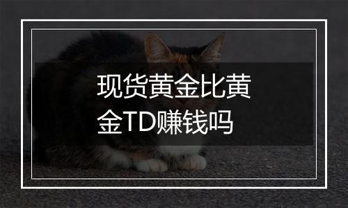 现货黄金比黄金TD赚钱吗