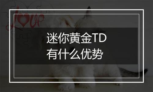 迷你黄金TD有什么优势