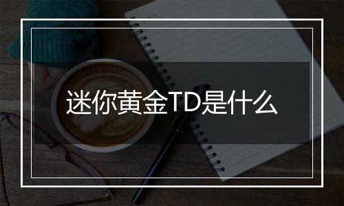 迷你黄金TD是什么