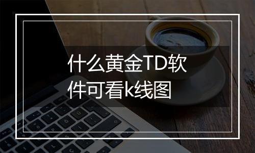 什么黄金TD软件可看k线图