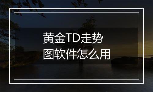 黄金TD走势图软件怎么用