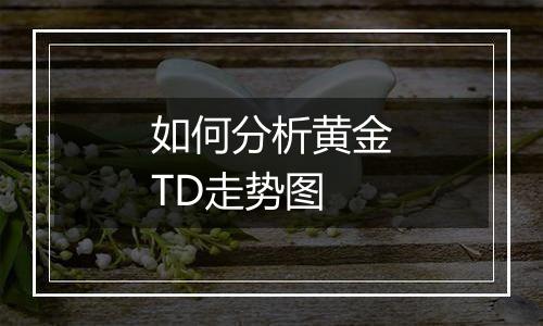 如何分析黄金TD走势图