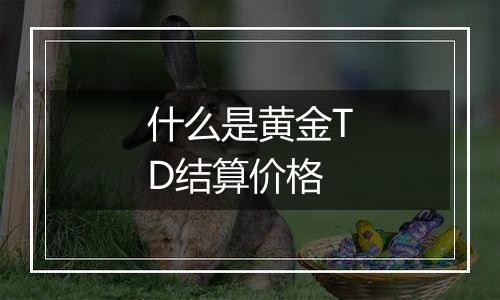 什么是黄金TD结算价格