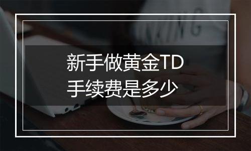 新手做黄金TD手续费是多少