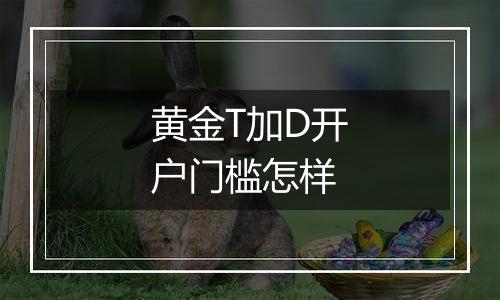 黄金T加D开户门槛怎样