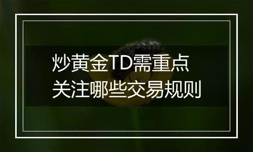 炒黄金TD需重点关注哪些交易规则