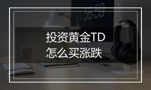 投资黄金TD怎么买涨跌