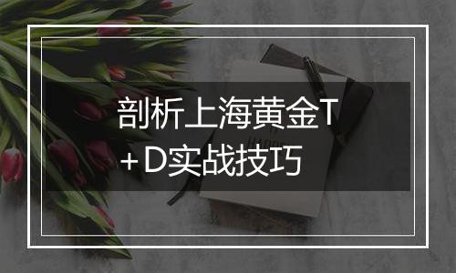 剖析上海黄金T+D实战技巧