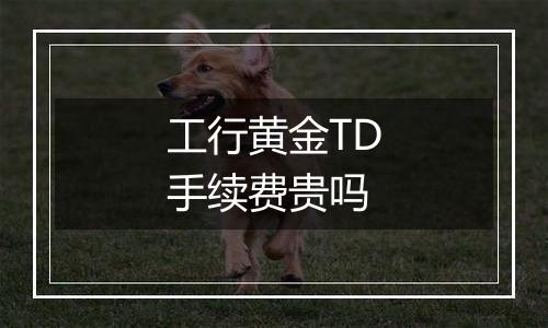 工行黄金TD手续费贵吗